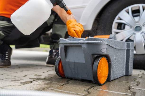 Best Root Management and Removal  in Lwa, CA